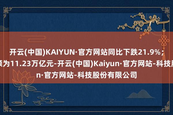 开云(中国)KAIYUN·官方网站同比下跌21.9%;奉求贷款余额为11.23万亿元-开云(中国)Kaiyun·官方网站-科技股份有限公司