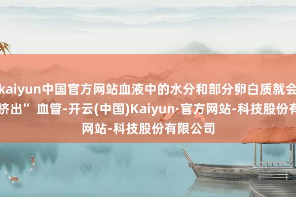 kaiyun中国官方网站血液中的水分和部分卵白质就会被动 “挤出” 血管-开云(中国)Kaiyun·官方网站-科技股份有限公司