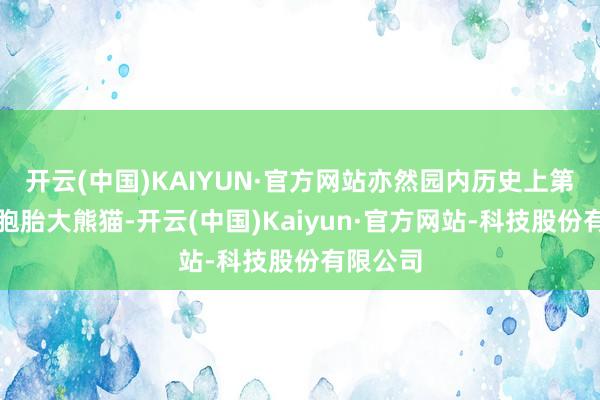 开云(中国)KAIYUN·官方网站亦然园内历史上第二对双胞胎大熊猫-开云(中国)Kaiyun·官方网站-科技股份有限公司