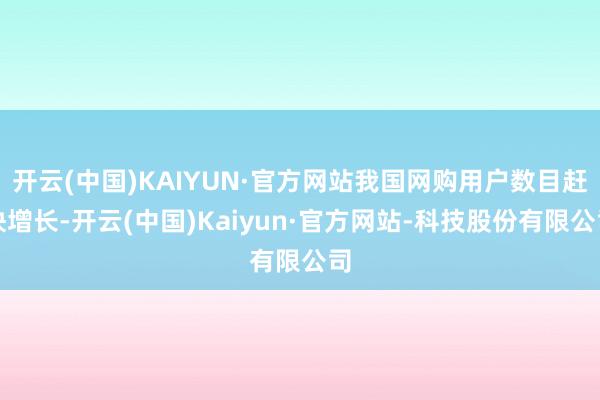 开云(中国)KAIYUN·官方网站我国网购用户数目赶快增长-开云(中国)Kaiyun·官方网站-科技股份有限公司